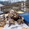 藏地山珍｜野生羊肚菌 纯野生干货 精品 商品缩略图1