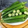 【生鲜预定】秋葵 商品缩略图1
