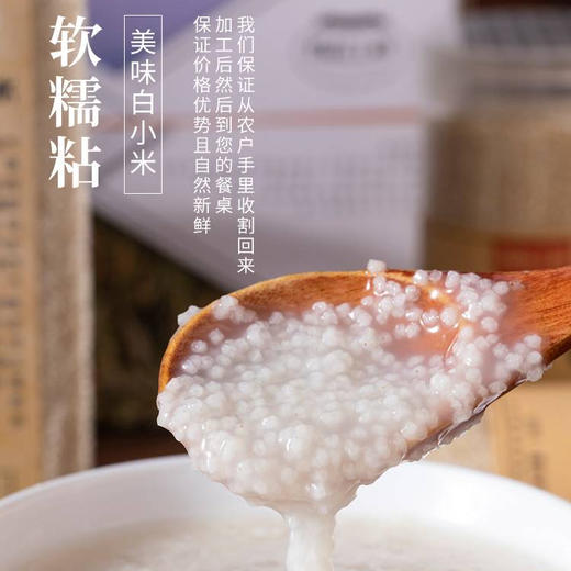 【乌拉白小米】源自清朝贡米产地 保胚芽 富含多种维生素 矿物质 叶酸含量高 粘软爽口 米香浓郁 回味悠长 商品图7