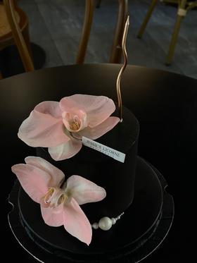 蝴蝶兰黑色蛋糕