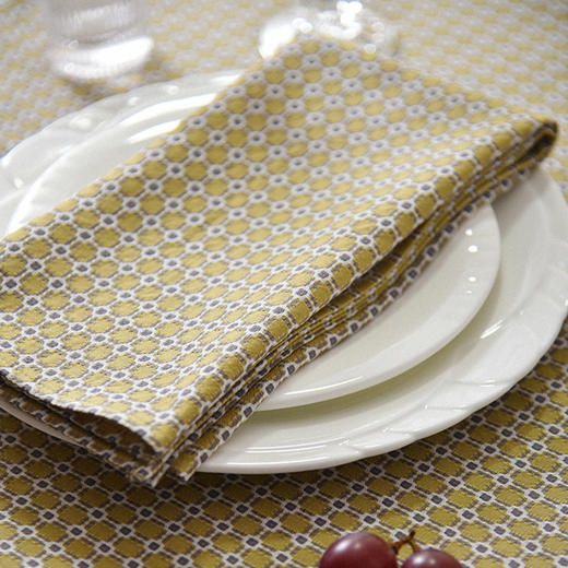 北欧简约格纹餐巾全棉高档田园风擦杯布餐巾 商品图2