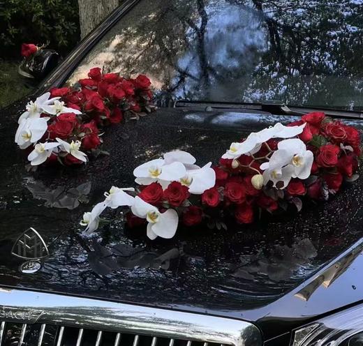 红色系 商品图0