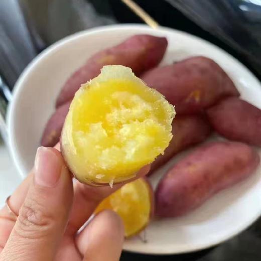 日本高系14号原种！桥头板粟地瓜 5斤红薯装   拇指地瓜（单果30-50克左右） 商品图1