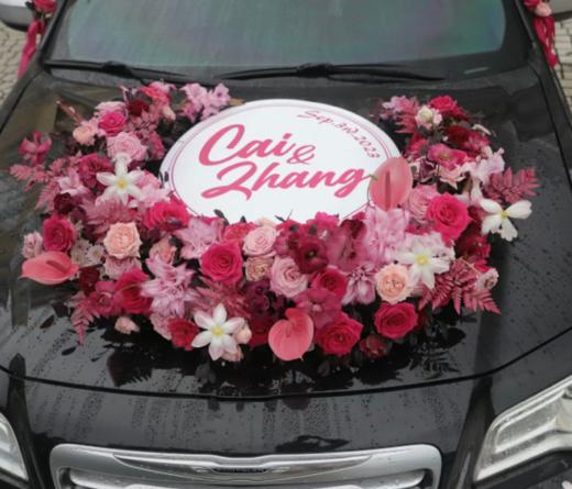 玫红色系 商品图0