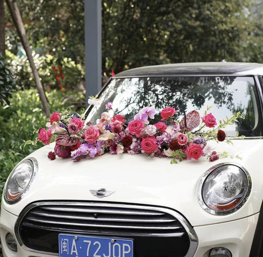 玫红色系 商品图1