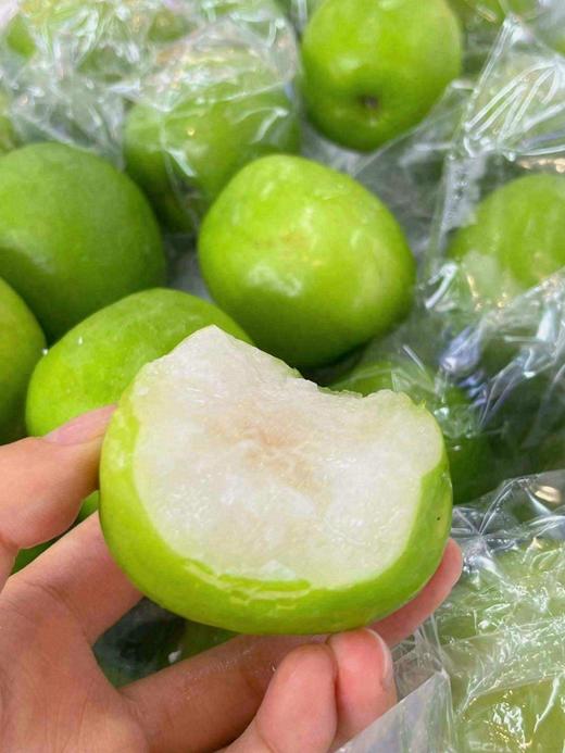 牛奶枣 【大号】盒 商品图2