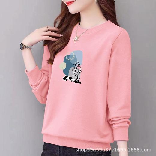 棉质圆领卫衣小毛圈女式宽松休闲时尚外套上衣字母印花运动衣显瘦 商品图2