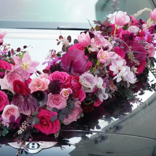 玫红色系 商品图1