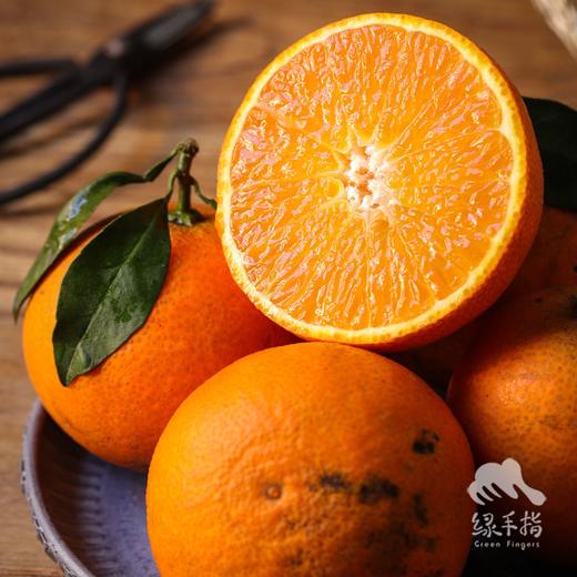 生态爱媛橙| 合作生产 *Eco Ehime Orange | Partner Production 商品图4