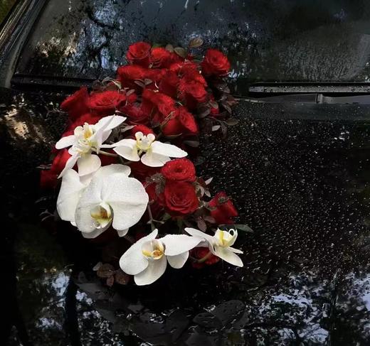 红色系 商品图3