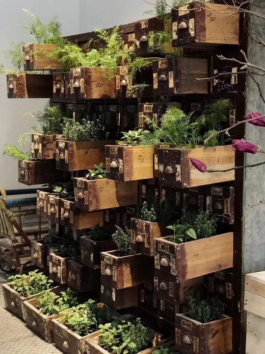 中医诊所硬木大药柜，不包寄送费 商品图1