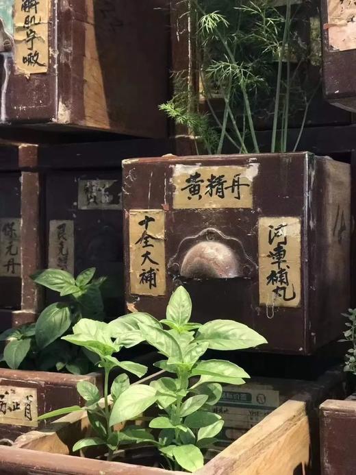 中医诊所硬木大药柜，不包寄送费 商品图2