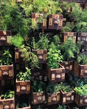 中医诊所硬木大药柜，不包寄送费