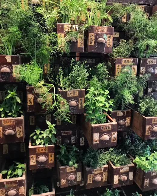 中医诊所硬木大药柜，不包寄送费 商品图0