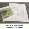 【大彩图】龚雪青工笔画白描底稿斗方小品《鸳鸯》临摹勾线花鸟线稿XQ57 商品缩略图1