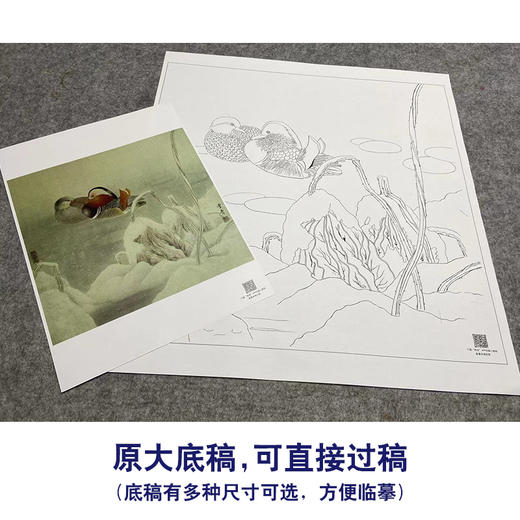 【大彩图】龚雪青工笔画白描底稿斗方小品《鸳鸯》临摹勾线花鸟线稿XQ57 商品图1