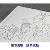 【大彩图】龚雪青工笔画白描底稿小品《南瓜鹦鹉》临摹勾线花鸟线稿XQ65 商品缩略图4