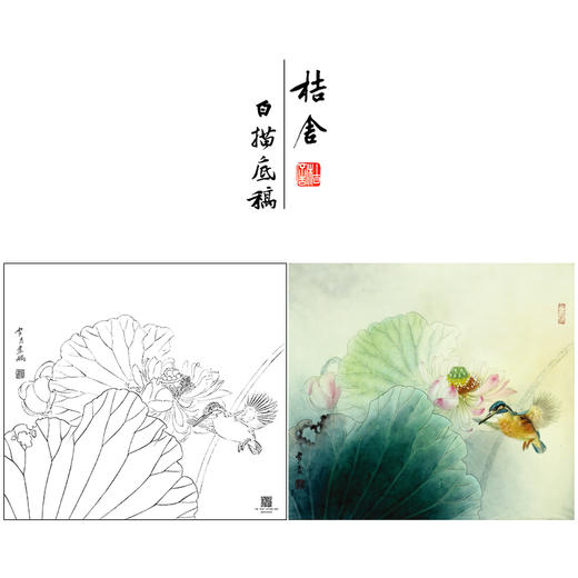 【大彩图】龚雪青工笔画白描底稿斗方小品《荷花翠鸟》临摹勾线花鸟线稿XQ24 商品图0
