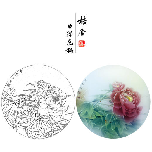 【大彩图】龚雪青工笔画白描底稿小品《牡丹》临摹勾线花鸟线稿XQ15 商品图0