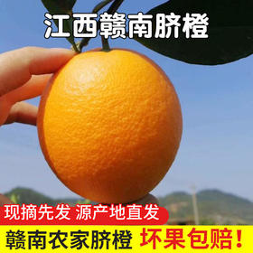 江西赣南脐橙新鲜橙子当季水果