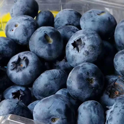 〔上海直发包邮06〕蓝莓（云南) 商品图0