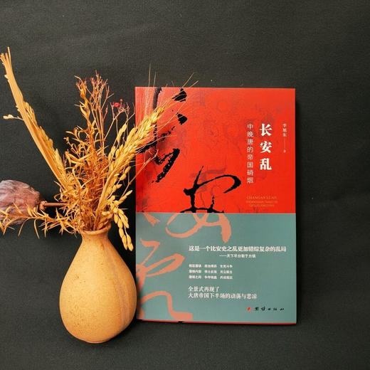 长安乱  中晚唐的帝国硝烟 李旭东 著 历史 商品图2