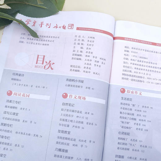 《小学生导刊》美绘/探索/作文  12期征订 商品图11