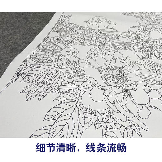 【大彩图】龚雪青工笔画白描底稿《牡丹鲤鱼》临摹勾线花鸟线稿XQ60 商品图4