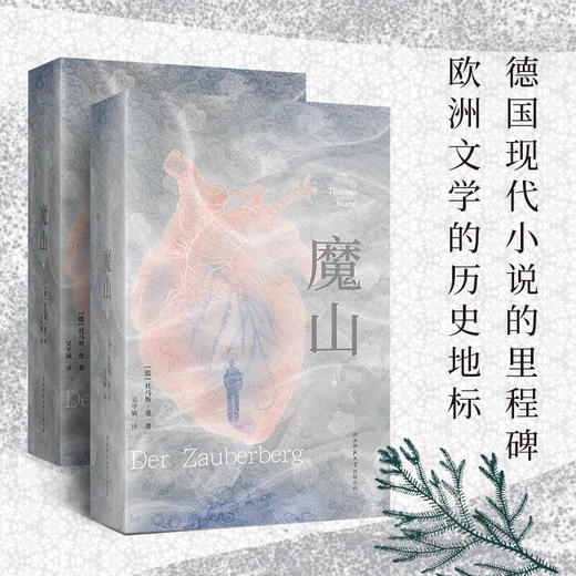 魔山 托马斯·曼 著 小说 商品图1