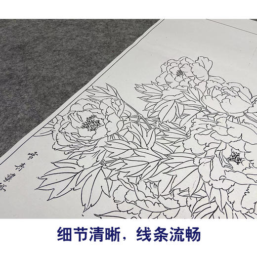 【大彩图】龚雪青工笔画白描底稿《富贵平安》花瓶临摹勾线花鸟线稿XQ74 商品图4