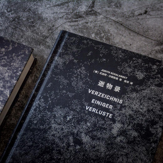 逝物录 （德）尤迪特·沙朗斯基 著 商品图3