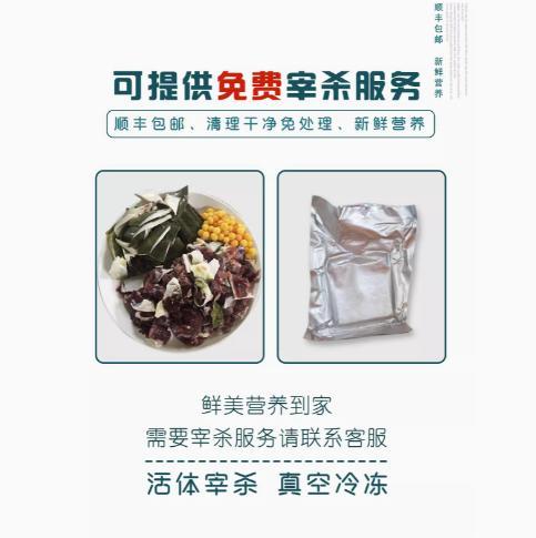 仙湖汉寿野外生长甲鱼 商品图4