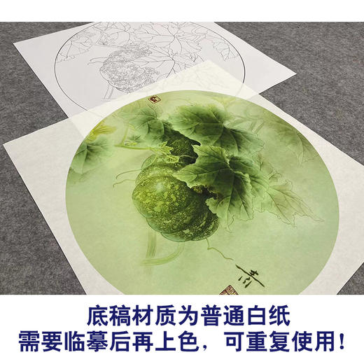 【大彩图】龚雪青工笔画白描底稿圆形小品《南瓜》临摹勾线花鸟线稿XQ05 商品图3