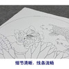 【大彩图】龚雪青工笔画白描底稿圆形小品《荷花鲤鱼》临摹勾线花鸟线稿XQ04 商品缩略图4