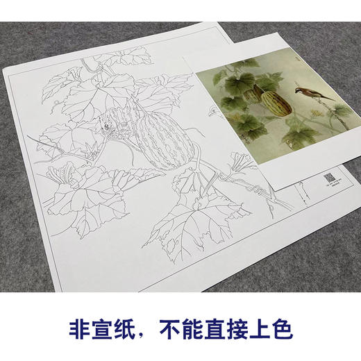 【大彩图】龚雪青工笔画白描底稿斗方小品《瓜园》西瓜临摹勾线花鸟线稿XQ47 商品图2