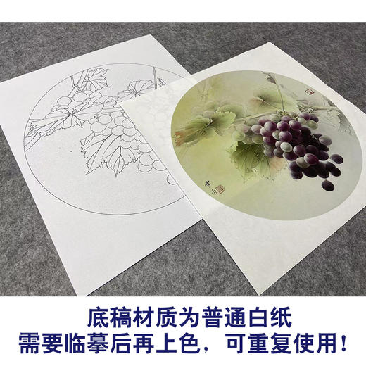 【大彩图】龚雪青工笔画白描底稿圆形小品《葡萄》临摹勾线花鸟线稿XQ07 商品图3