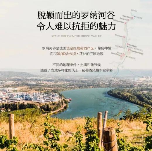 【4代传承·经典GSM混酿】法国罗纳河谷原瓶进口AOP 德隆家族干红葡萄酒 14%vol 商品图4