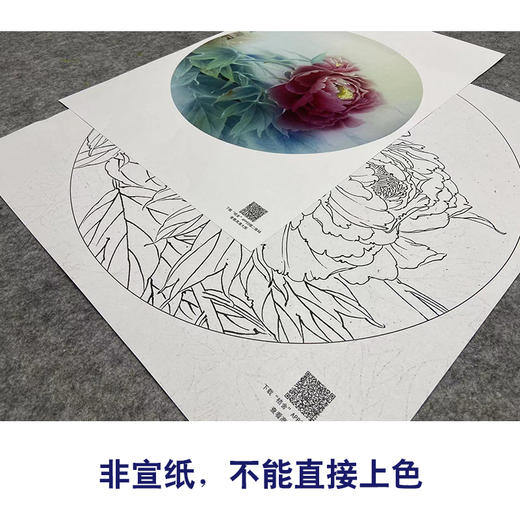 【大彩图】龚雪青工笔画白描底稿小品《牡丹》临摹勾线花鸟线稿XQ15 商品图2