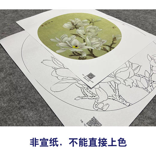 【大彩图】龚雪青工笔画白描底稿小品《玉兰花》临摹勾线花鸟线稿XQ13 商品图2