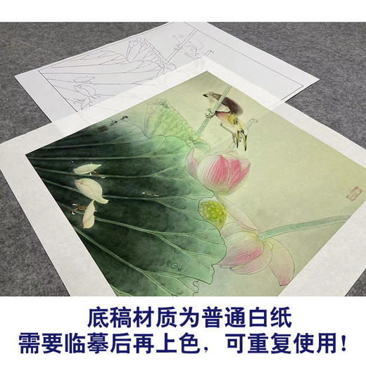 【大彩图】龚雪青工笔画白描底稿斗方小品《荷花绿鹭》临摹勾线花鸟线稿XQ22 商品图3