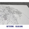 【大彩图】龚雪青工笔画白描底稿扇面小品《来禽图》荔枝临摹勾线花鸟线稿XQ21 商品缩略图4