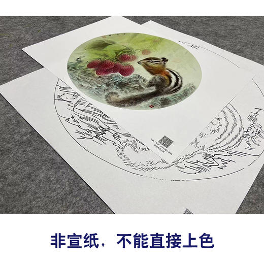 【大彩图】龚雪青工笔画白描底稿圆形小品荔枝小松鼠临摹勾线花鸟线稿XQ06 商品图2