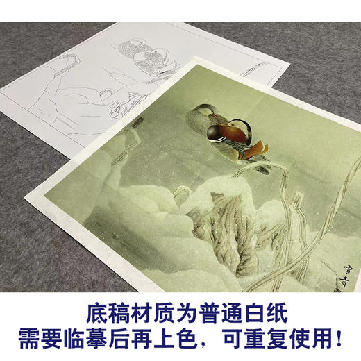 【大彩图】龚雪青工笔画白描底稿斗方小品《鸳鸯》临摹勾线花鸟线稿XQ57 商品图3