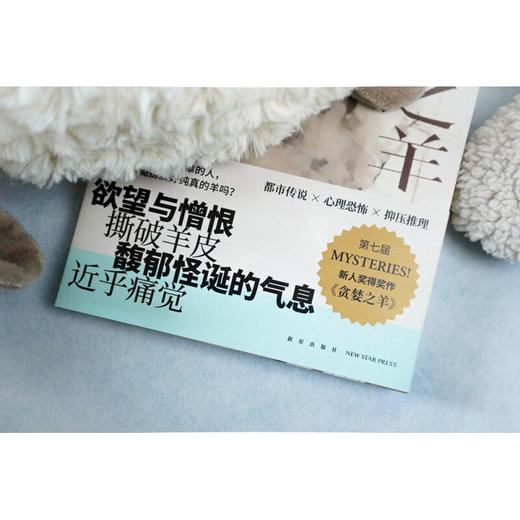 贪婪之羊 美轮和音 著 小说 商品图4