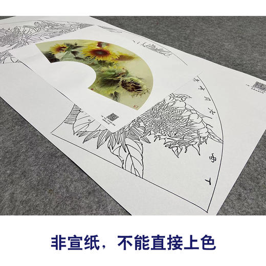 【大彩图】龚雪青工笔画白描底稿扇面小品《向日葵》临摹勾线花鸟线稿XQ19 商品图2