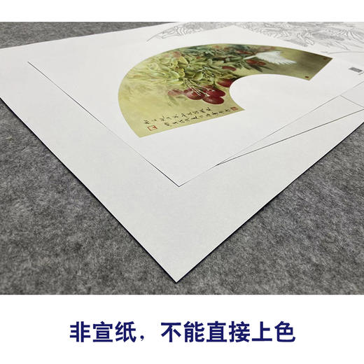【大彩图】龚雪青工笔画白描底稿扇面小品《来禽图》荔枝临摹勾线花鸟线稿XQ21 商品图2