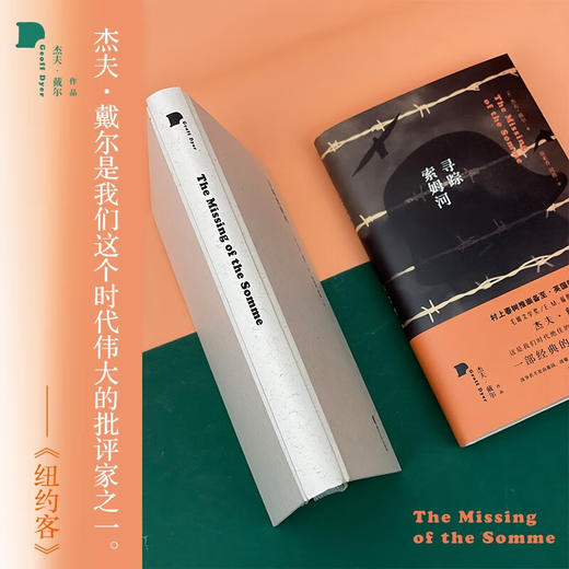 寻踪索姆河（英）杰夫·戴尔 著 一部经典的大战沉思录 商品图3