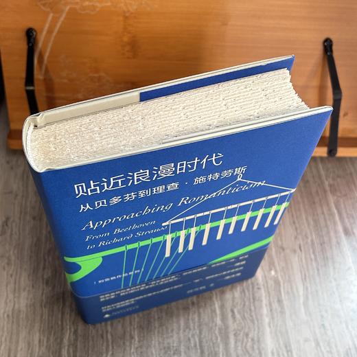 【毛边签名本】纯粹 日出时让悲伤终结  音乐的精灵  贴近浪漫时代 商品图6