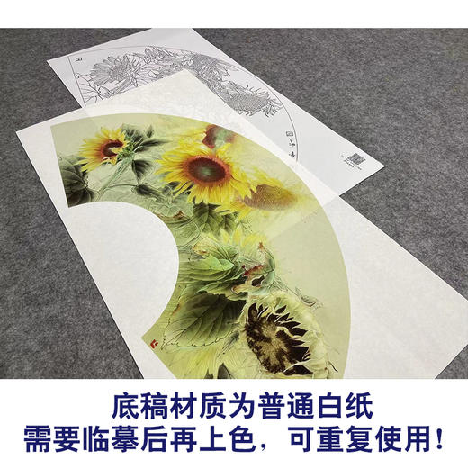 【大彩图】龚雪青工笔画白描底稿扇面小品《向日葵》临摹勾线花鸟线稿XQ19 商品图3