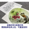 【大彩图】龚雪青工笔画白描底稿圆形小品荔枝小松鼠临摹勾线花鸟线稿XQ06 商品缩略图3